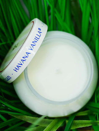 Havana Vanilla Artisan Capri Petite Candle